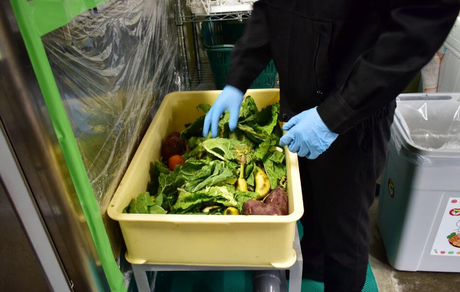 未使用野菜・果物の写真